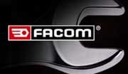 Logo Facom