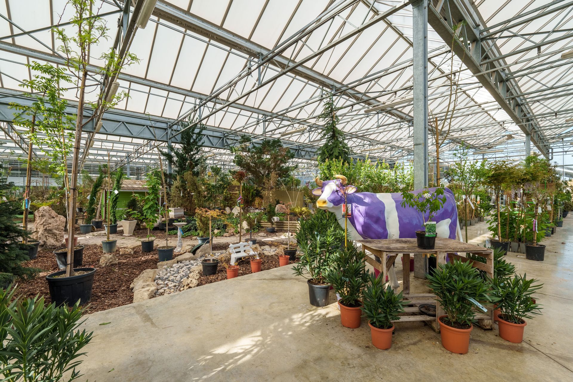 Serre des plantes extérieures de la boutique Au Comptoir du jardinier