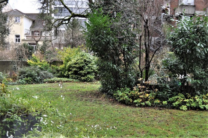 Wermuth Zahntechnik Labor