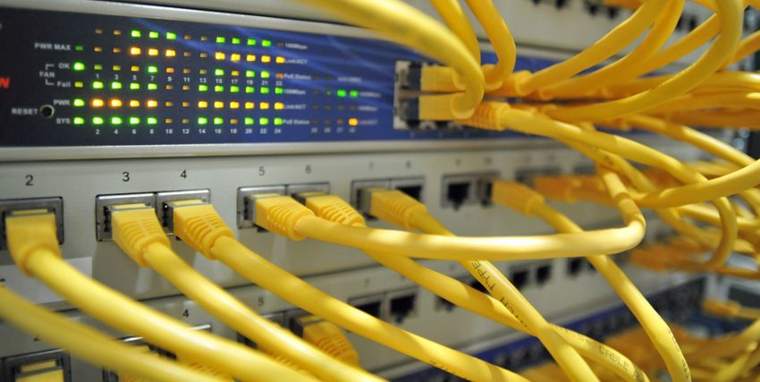 Eine Reihe von gelben Kabeln , die an einem Server angeschlossen sind