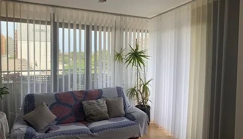 Luminoso salón con sofá gris, planta alta y cortinas transparentes sobre grandes ventanales.