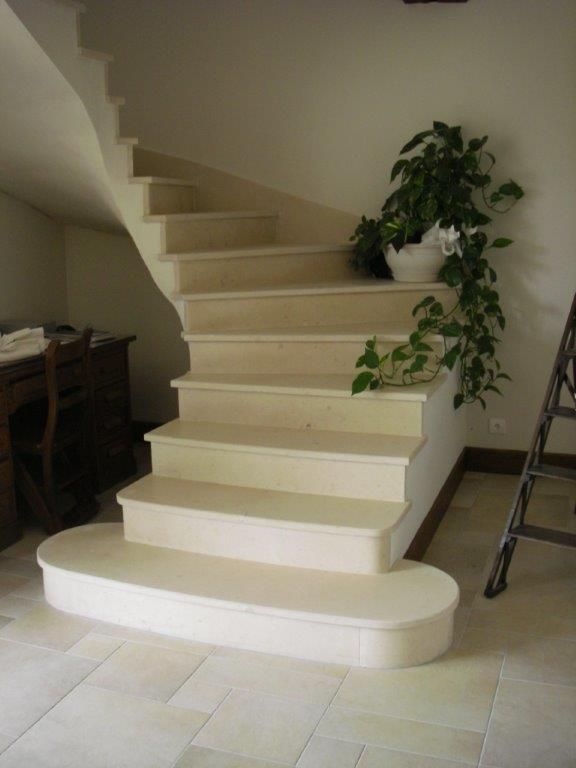 Escalier blanc avec plante verte