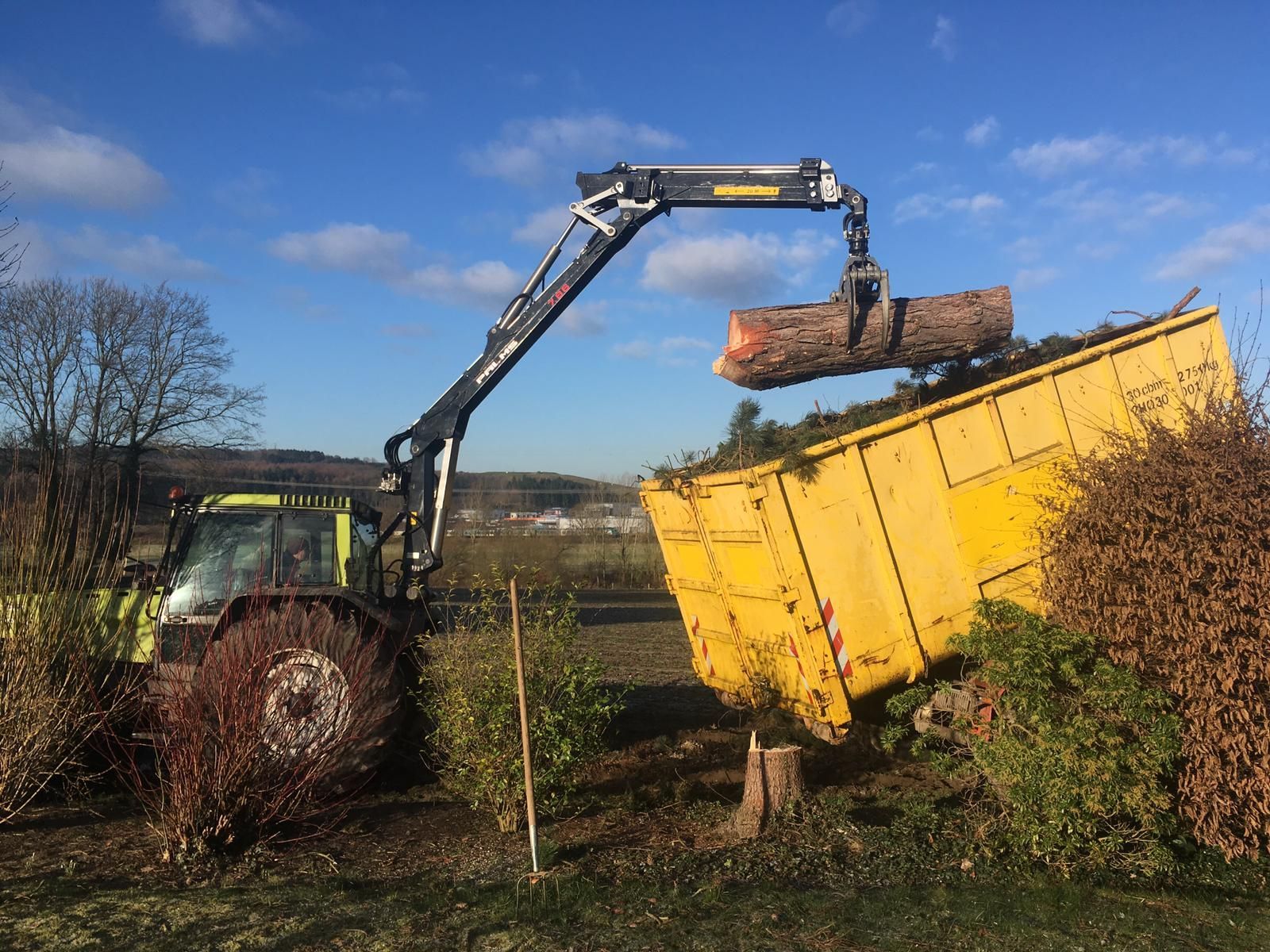 Ein Traktor trägt einen Baumstamm in einen gelben Anhänger in Löhne