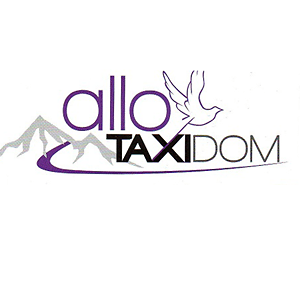 Logo de l'entreprise Taxi DOMTAXI