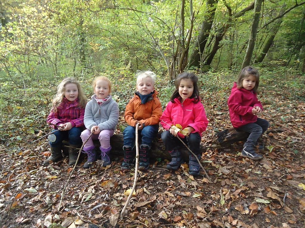 Kinder entdecken den Wald