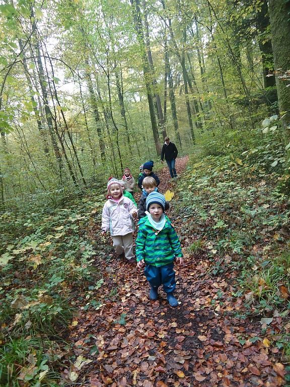Kinder entdecken den Wald
