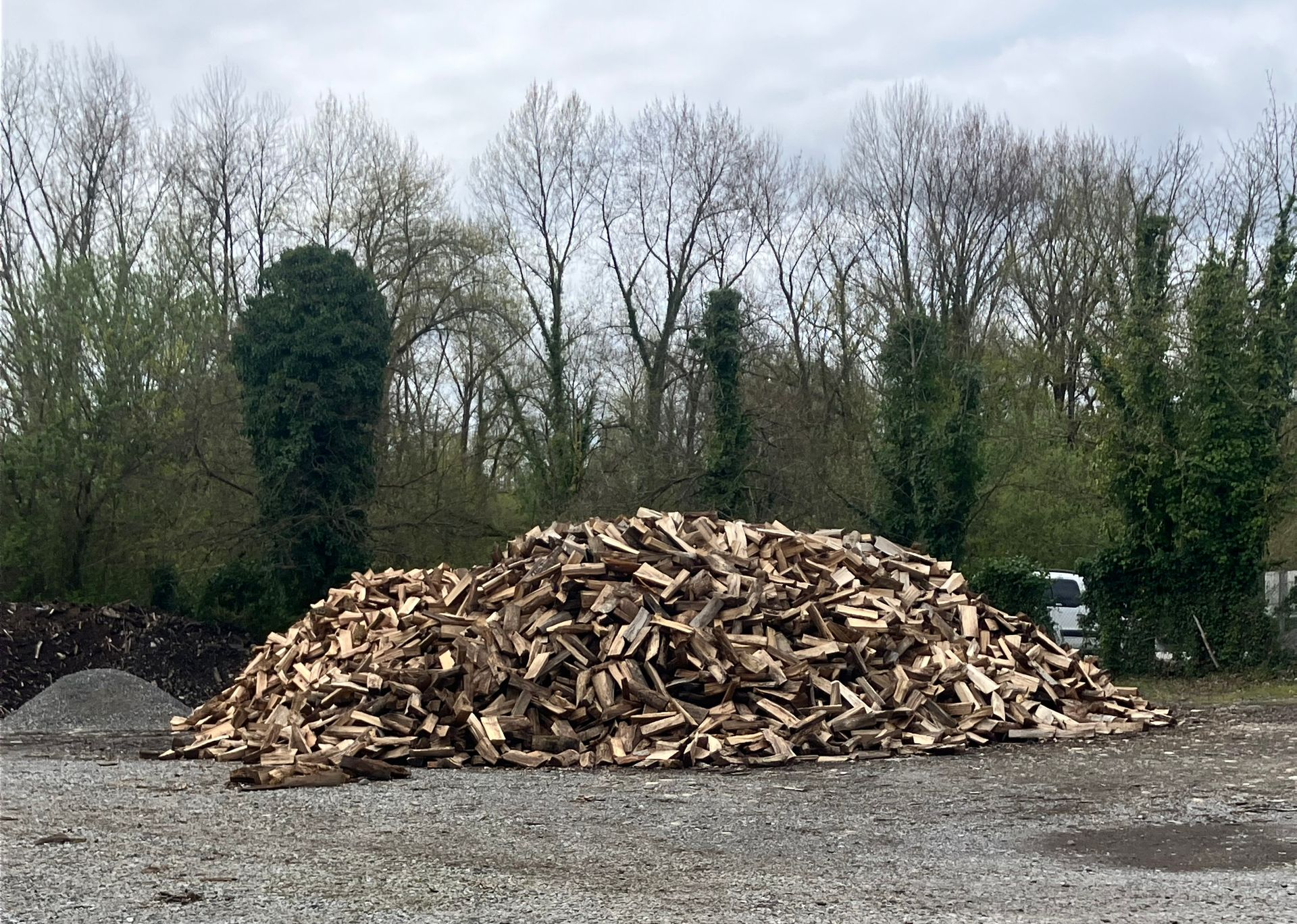 Gros tas de bois de chauffage sur un terrain gravillonné, avec des arbres et un ciel couvert en arrière-plan.
