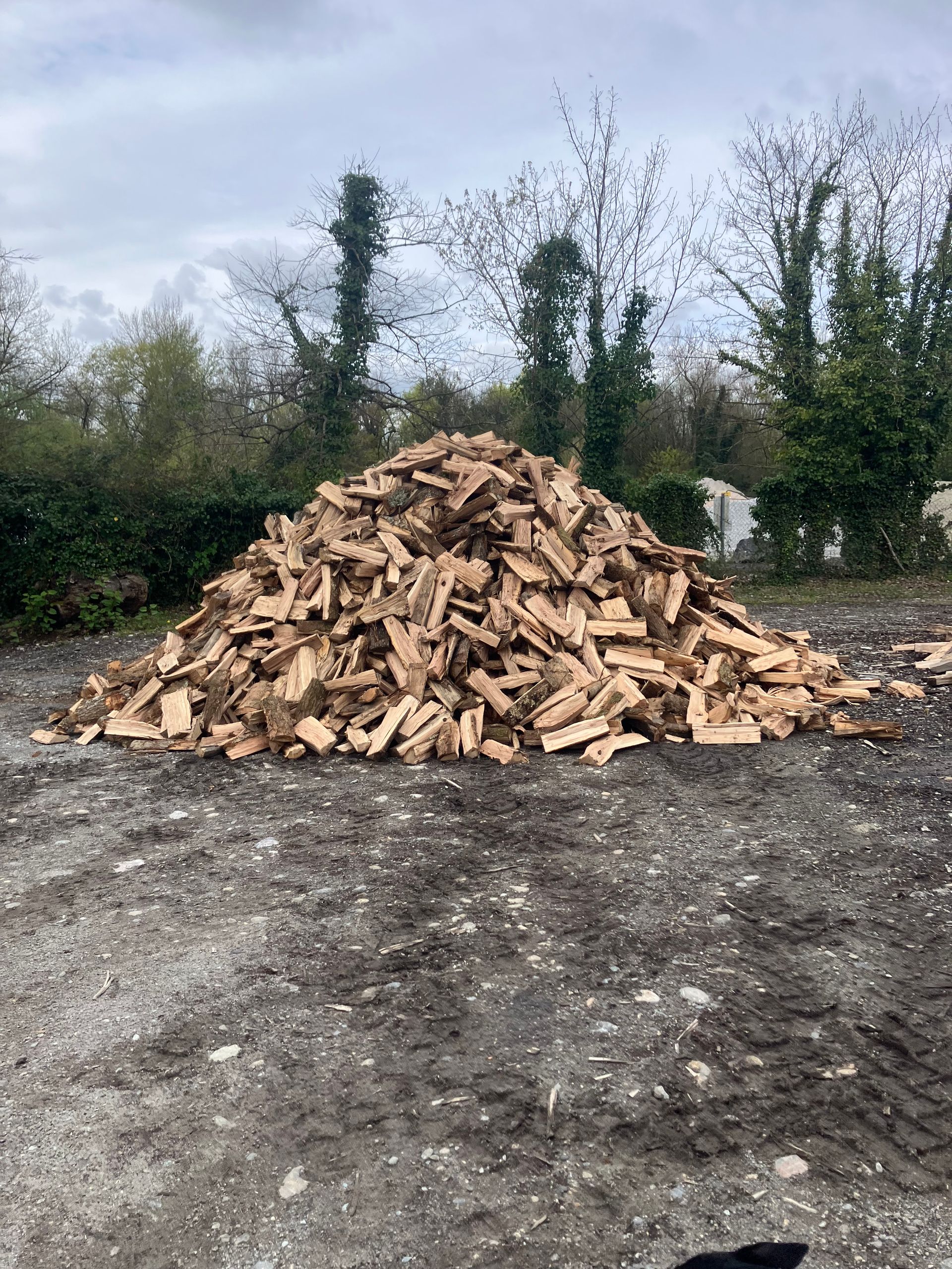 Tas de bois de chauffage coupé, empilé sur du gravier à l'extérieur, avec des arbres et un ciel nuageux en arrière-plan.