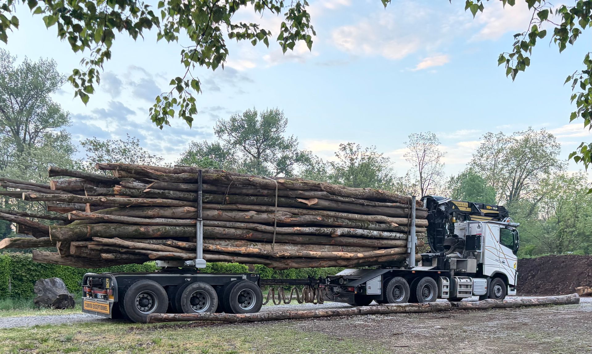 Camion grumier transportant de longs troncs d'arbres sur un chemin de gravier sous les arbres et le ciel bleu.