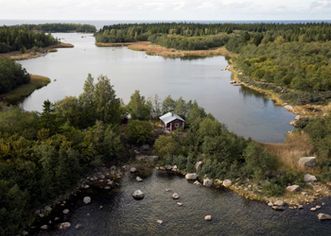 ronikuva