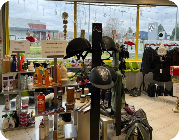 Vitrine d’une animalerie avec des produits de soin pour animaux, des laisses et des accessoires pour chiens.