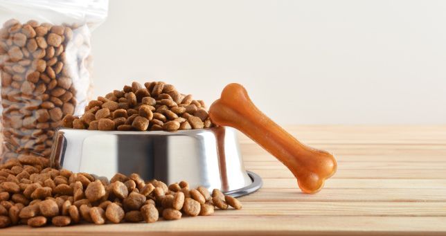 Offrez une nourriture saine et équilibrée à vos animaux de compagnie avec notre sélection de produits alimentaires. Vous trouverez les croquettes, les compléments alimentaires ou encore les friandises qui aideront vos chiens et vos chats de tous âges et de toutes tailles à reprendre des forces et à être en pleine santé tout en se régalant.