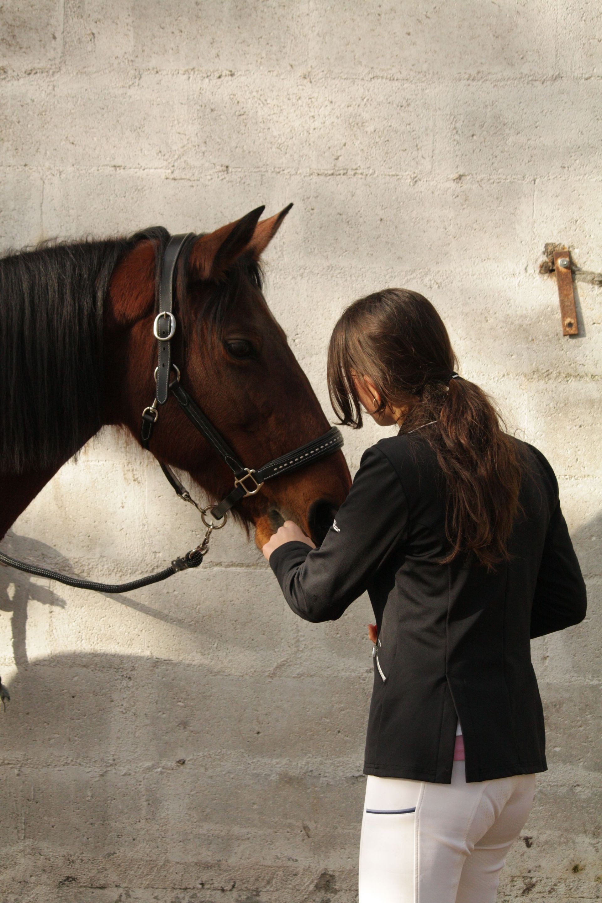 Une personne en veste noire caresse un cheval brun foncé près d’un mur en béton.