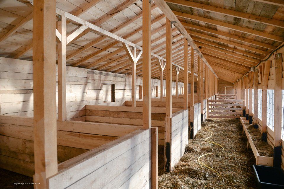 Zimmerei-Meiler-e.K.-Zimmerein-Neunburg-vorm-Wald-0106