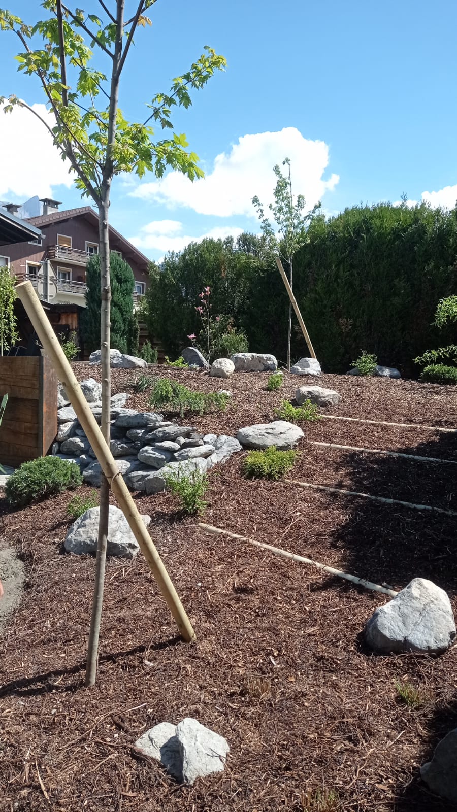 Plantation d'arbres de tous types