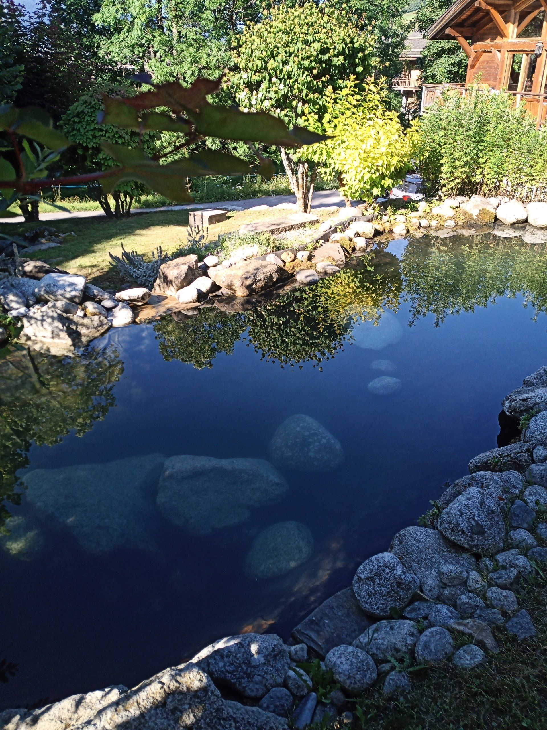 Création d'un bassin