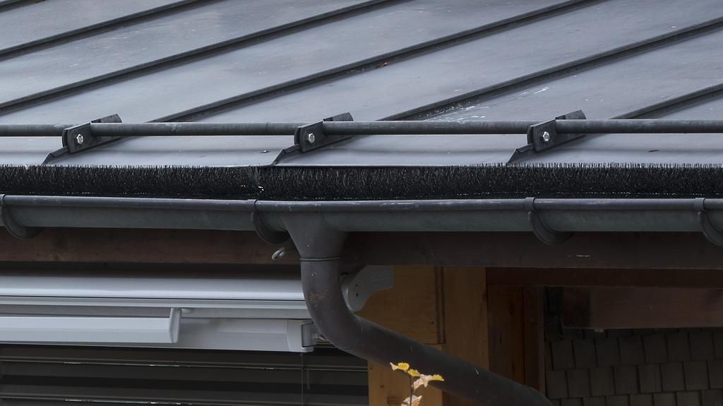 Gebäudereinigung - Dachrinnenbürste - Mettler Tools GmbH - Ebnat-Kappe