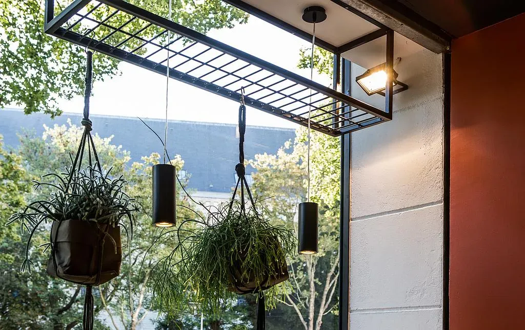 Décoration magasin d'optique