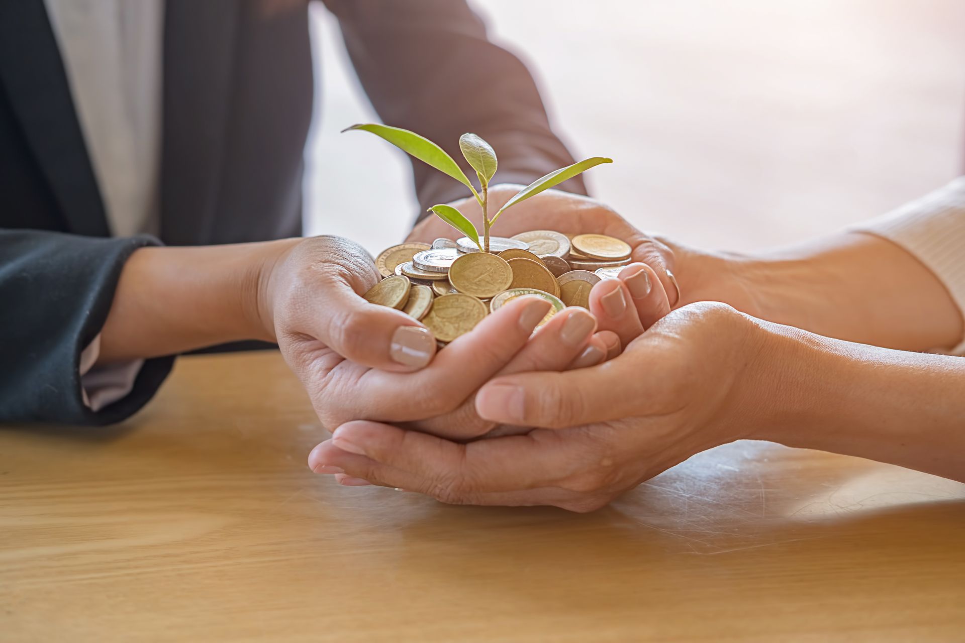 Des mains tenant une petite plante qui pousse à partir de pièces de monnaie empilées sur une table