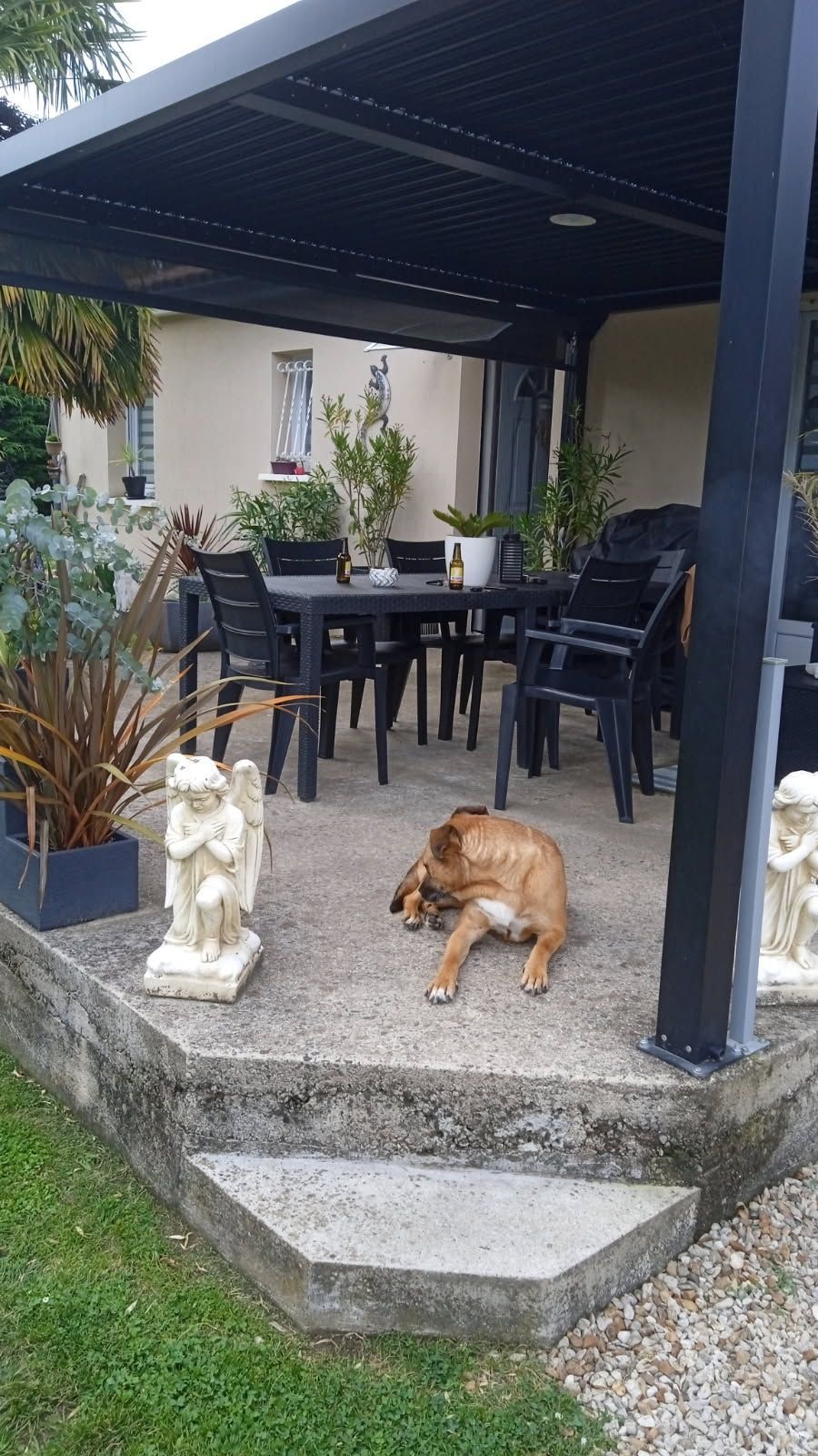 Un chien est allongé sur une terrasse à côté d'une table et de chaises.