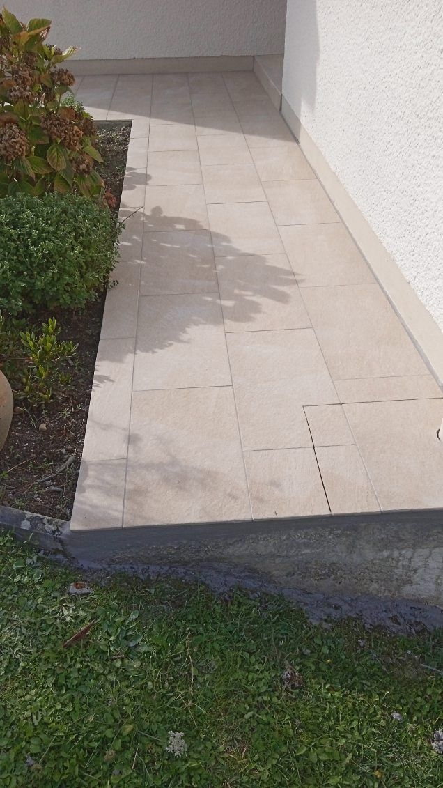 Un trottoir menant à une maison à côté d'un buisson.