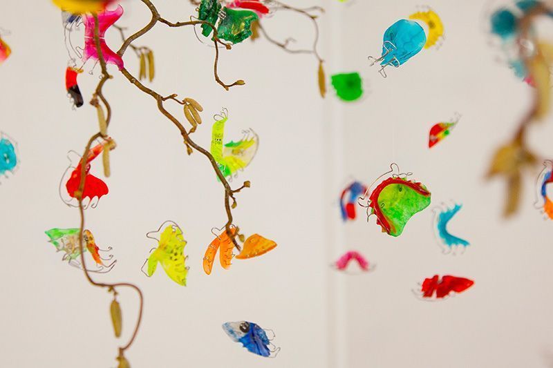 Dekoration in der Kieferorthopädie Praxis Münchberg