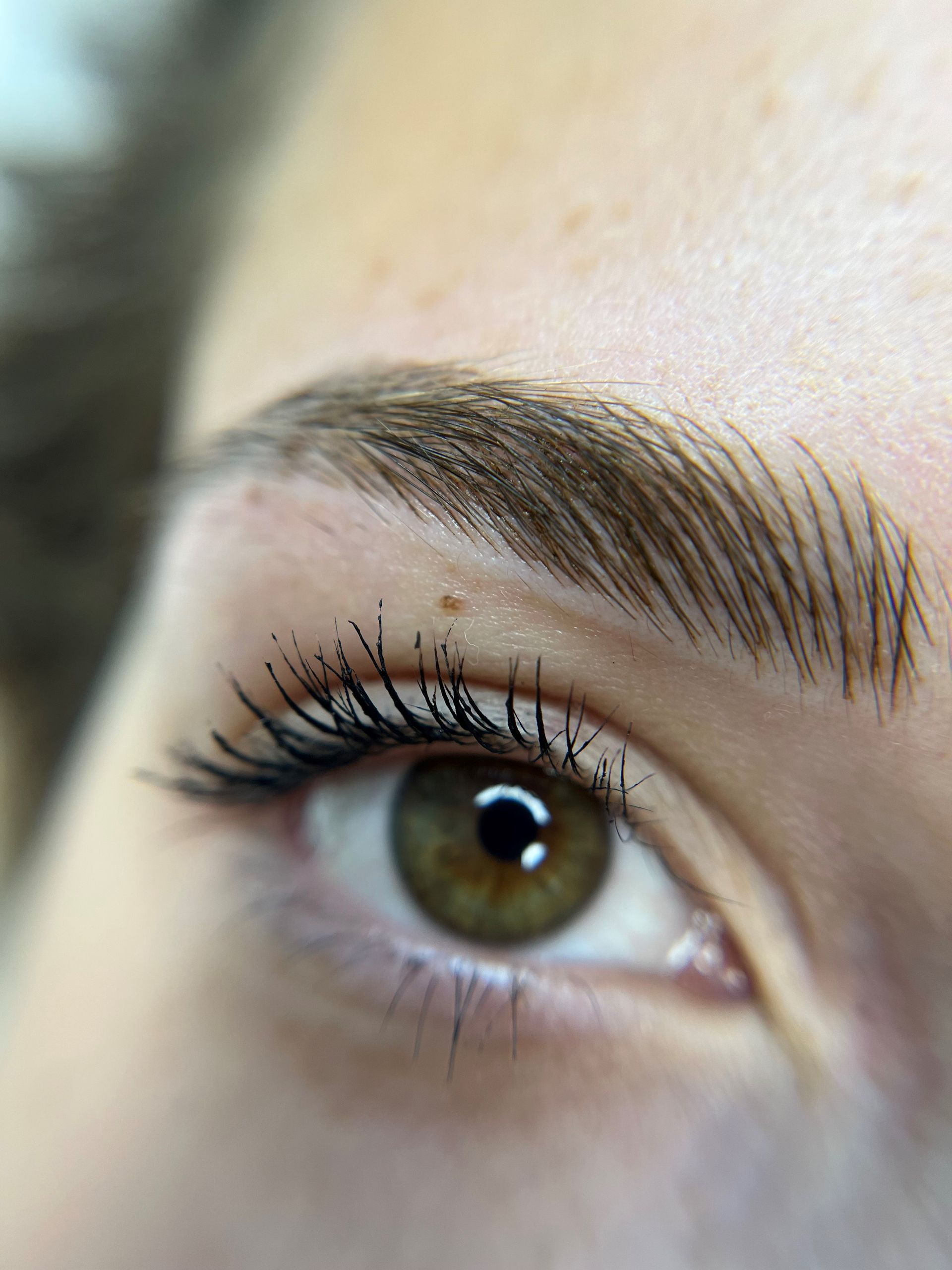 Lash & Brow fatte da Anna Baldassini