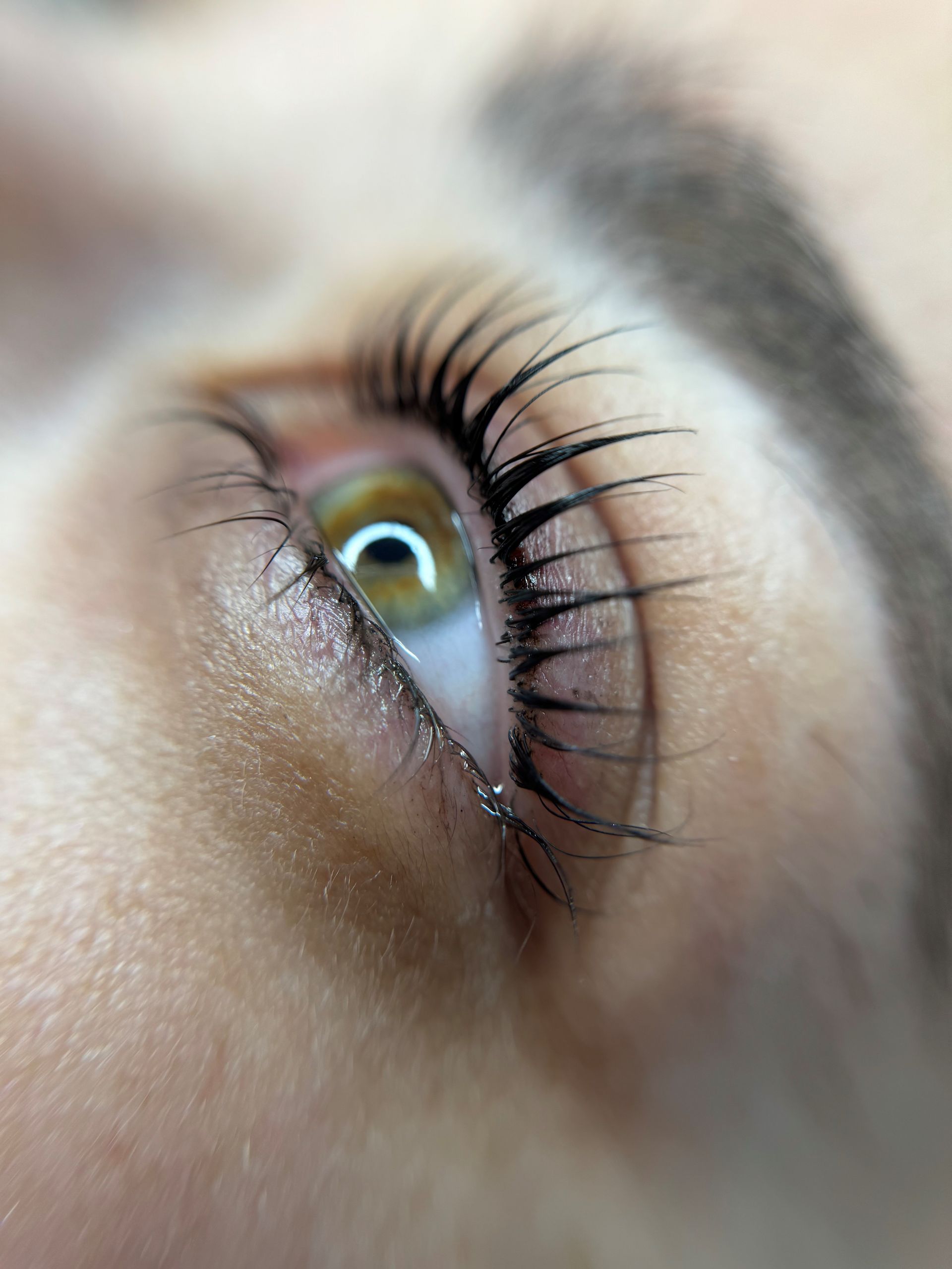 Ciglia bellissime da Anna Baldassini