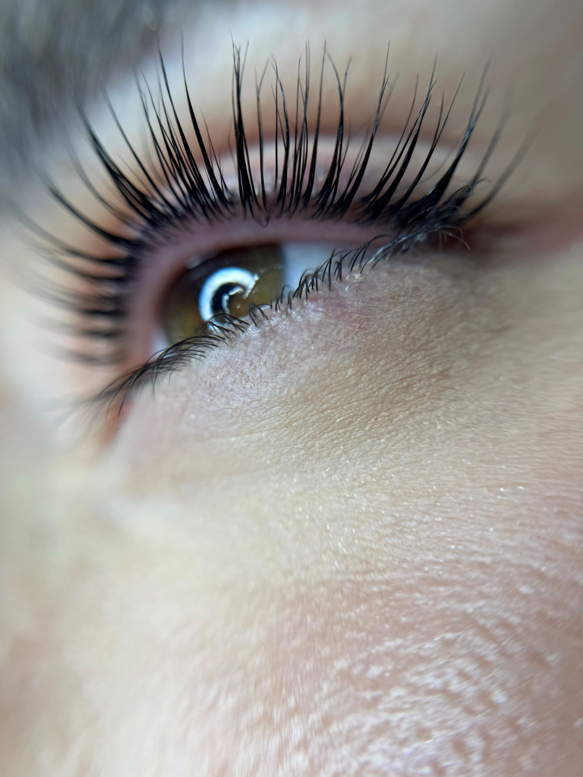 Lashes AB Beauty Studio