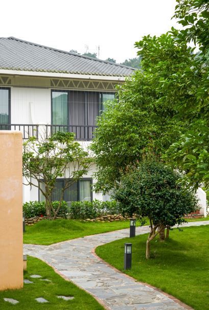 Ramitas de romero en un pequeño cubo de metal sobre un fondo verde borroso.