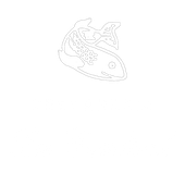 logotipo cabecera