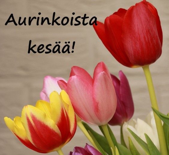 ivmk.fi