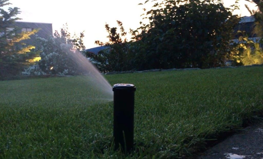 Vetsch Gärten AG - Wäldi