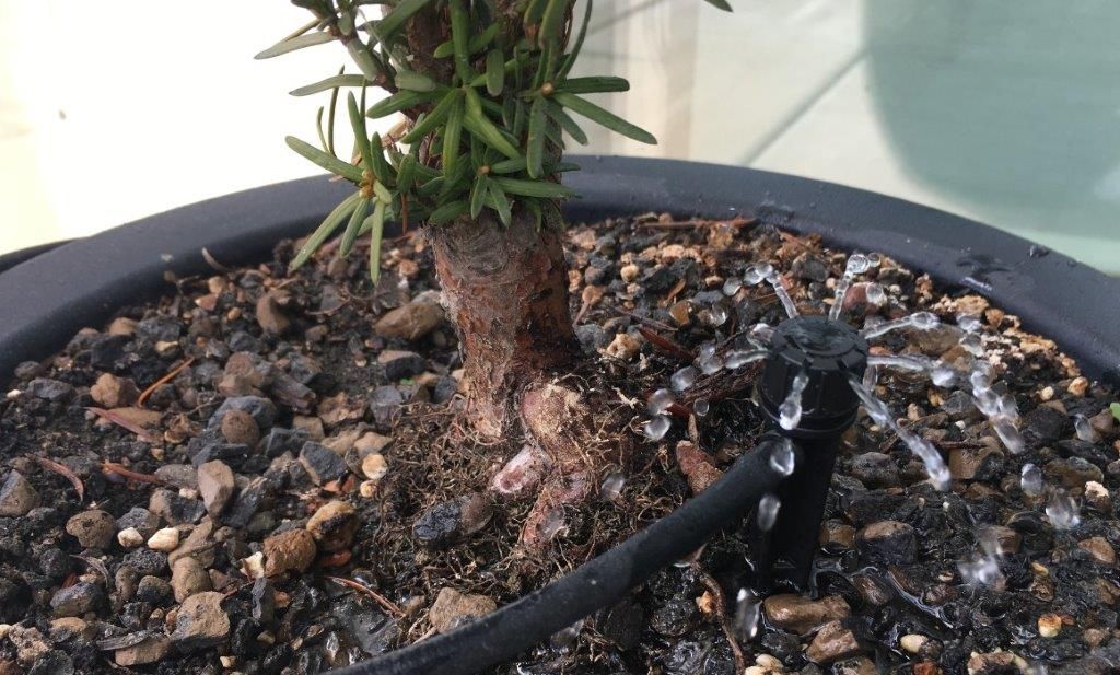 Vetsch Gärten AG - Wäldi