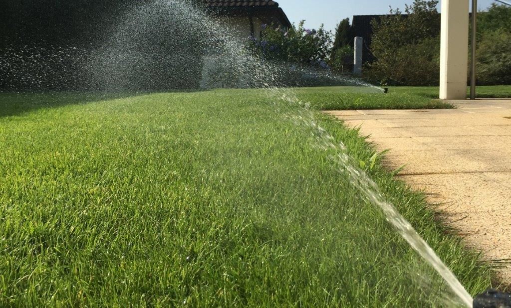 Vetsch Gärten AG - Wäldi