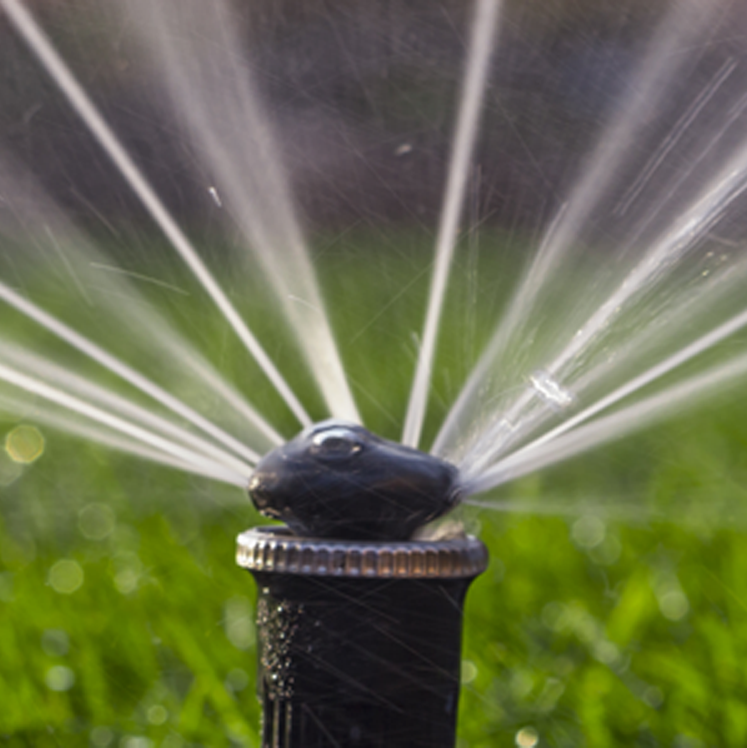 Vetsch Gärten AG - Wäldi