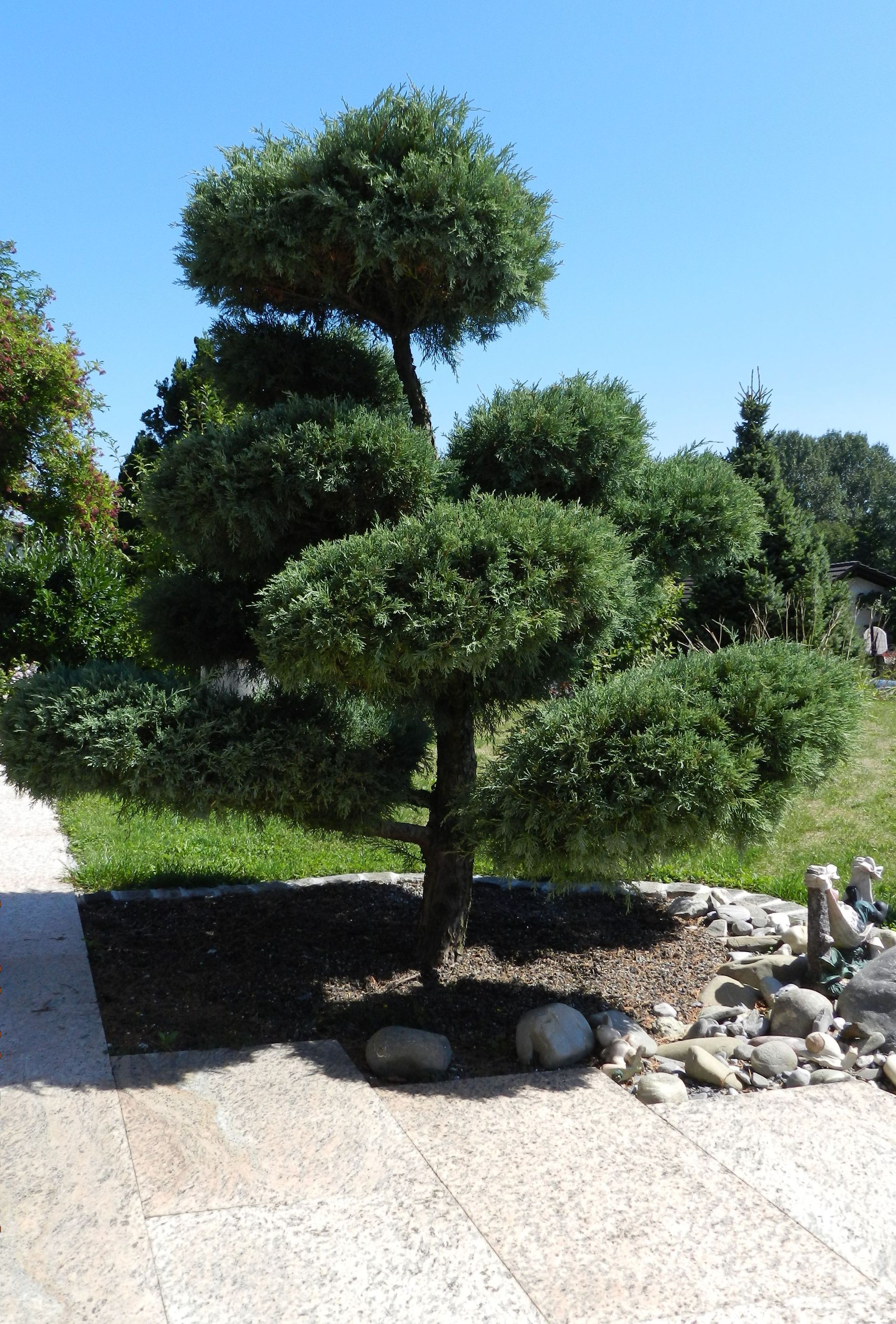 Baumschnitt - Vetsch Gärten AG