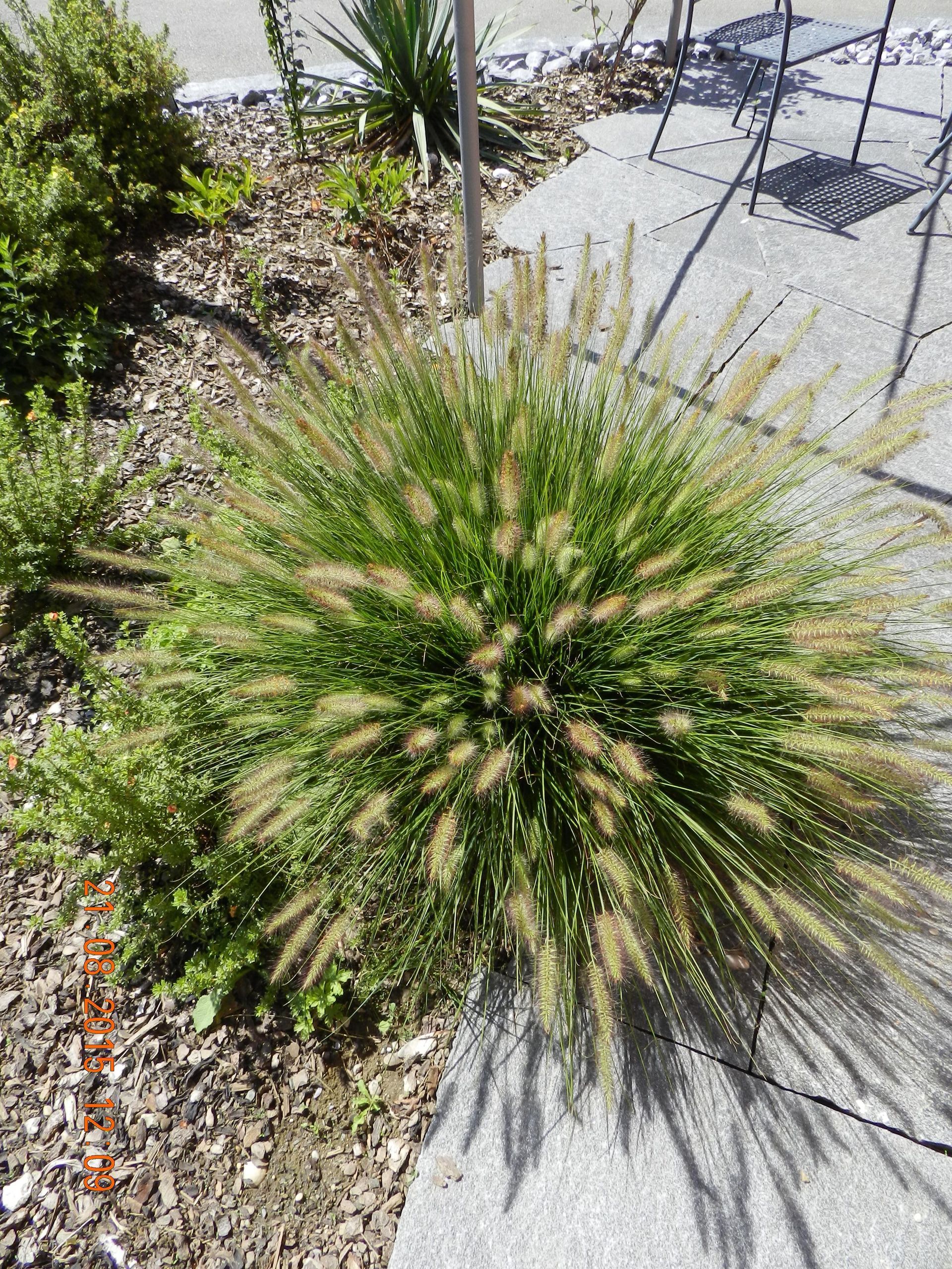 Steingarten - Vetsch Gärten AG