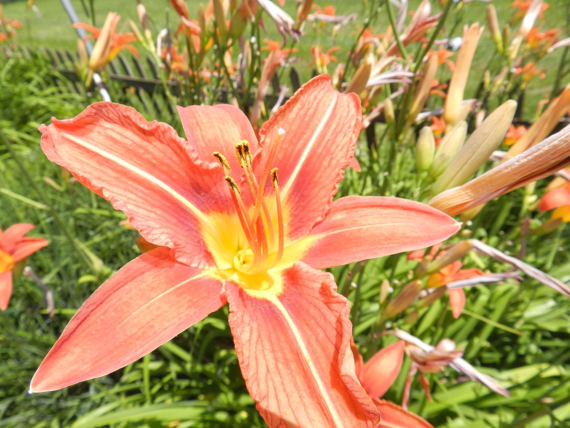 Vetsch Gärten AG - Wäldi