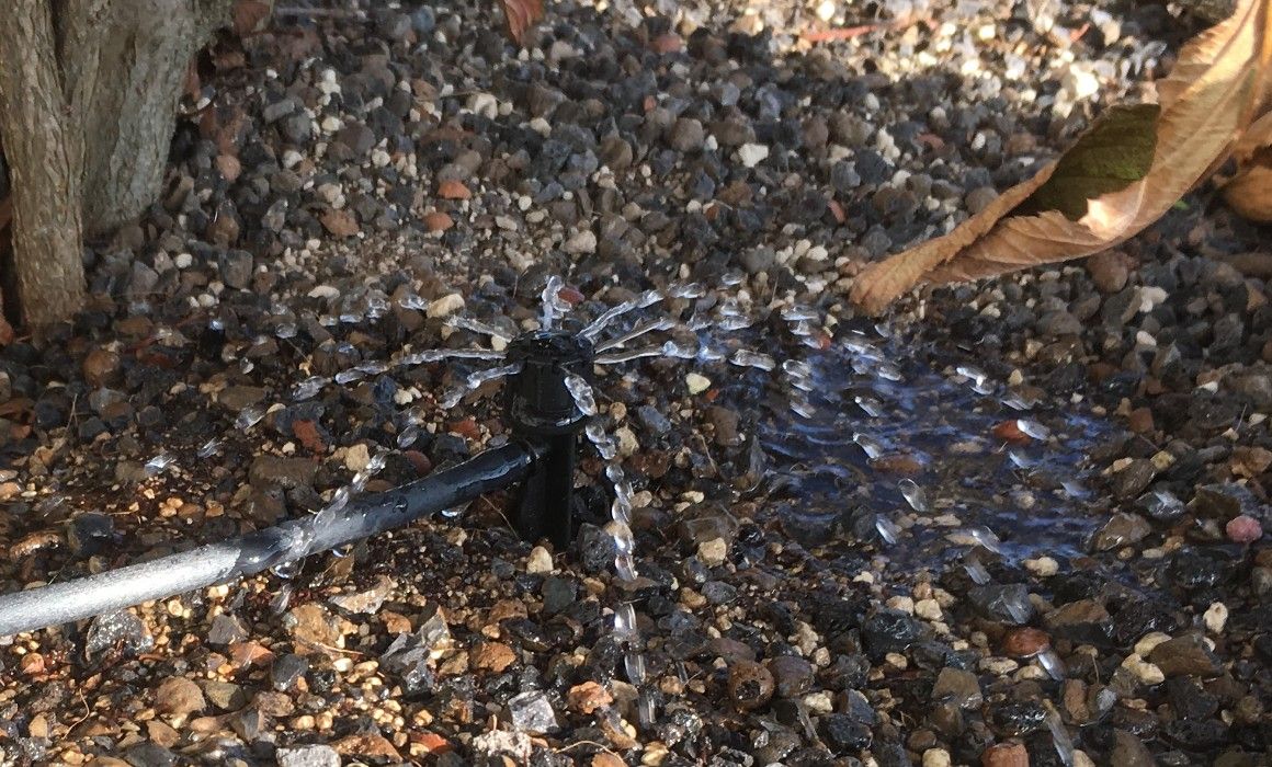 Vetsch Gärten AG - Wäldi