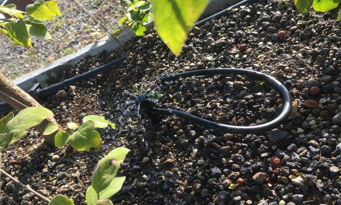 Vetsch Gärten AG - Wäldi