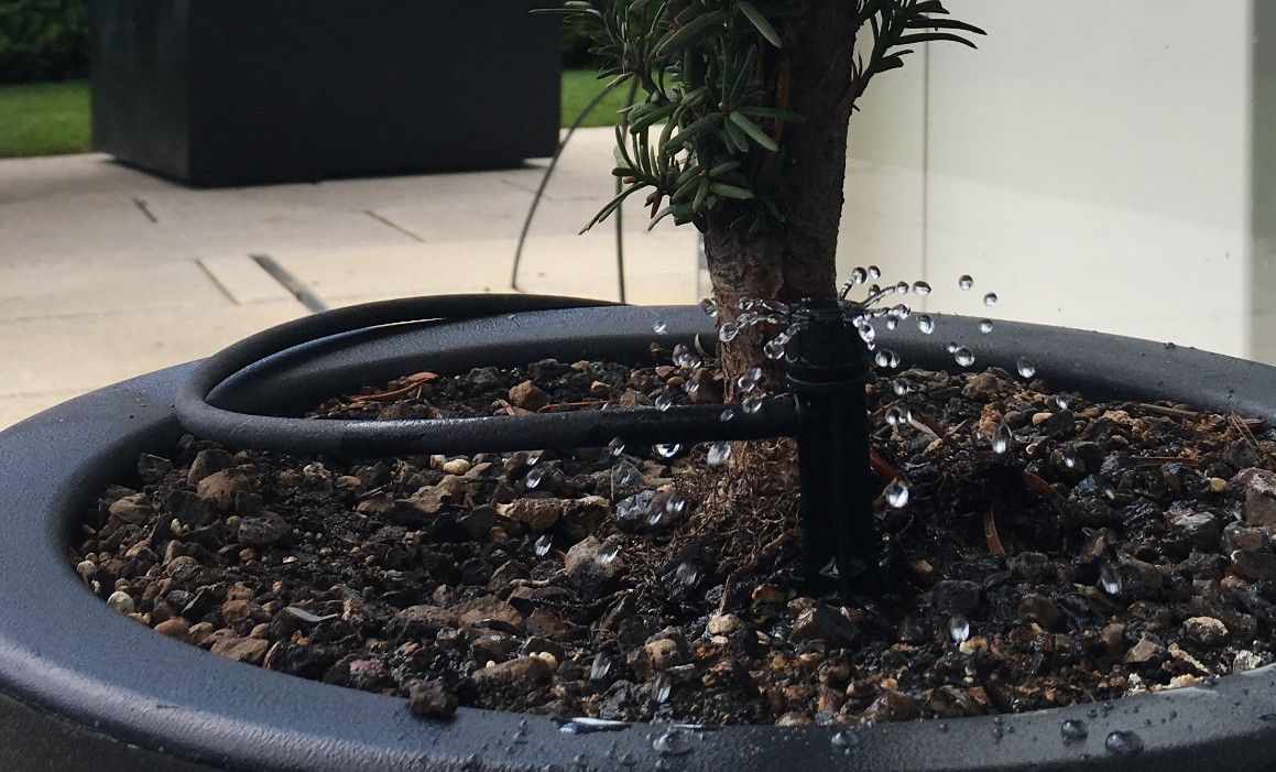 Vetsch Gärten AG - Wäldi