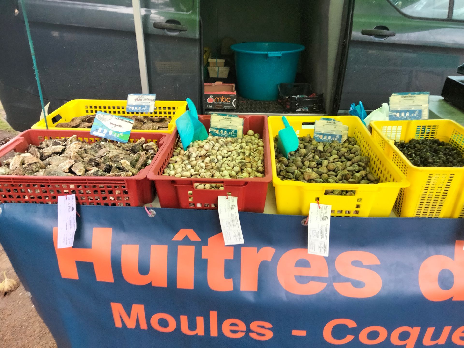 Les huîtres à vendre