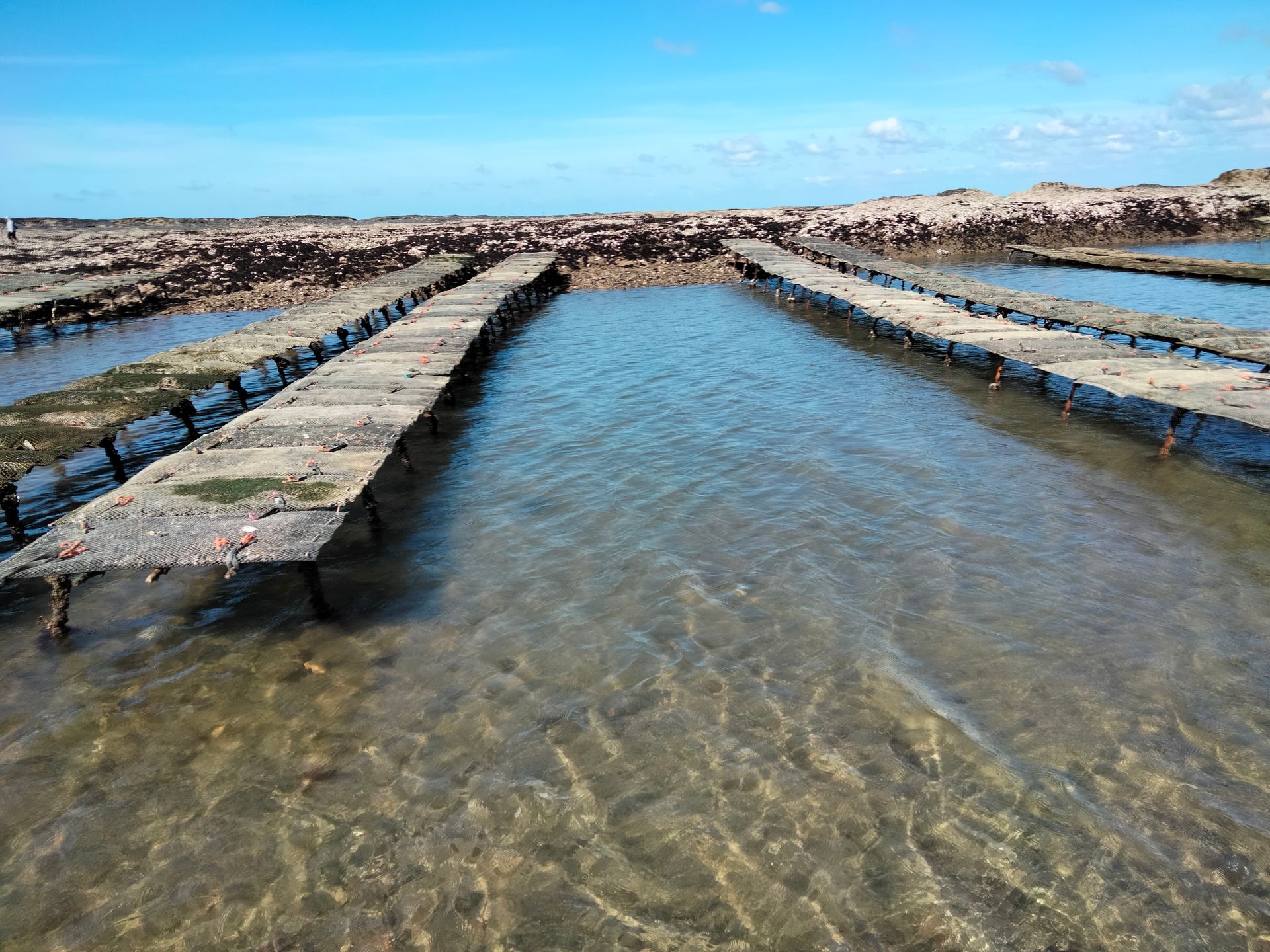 Cours d'eau pour la pêche