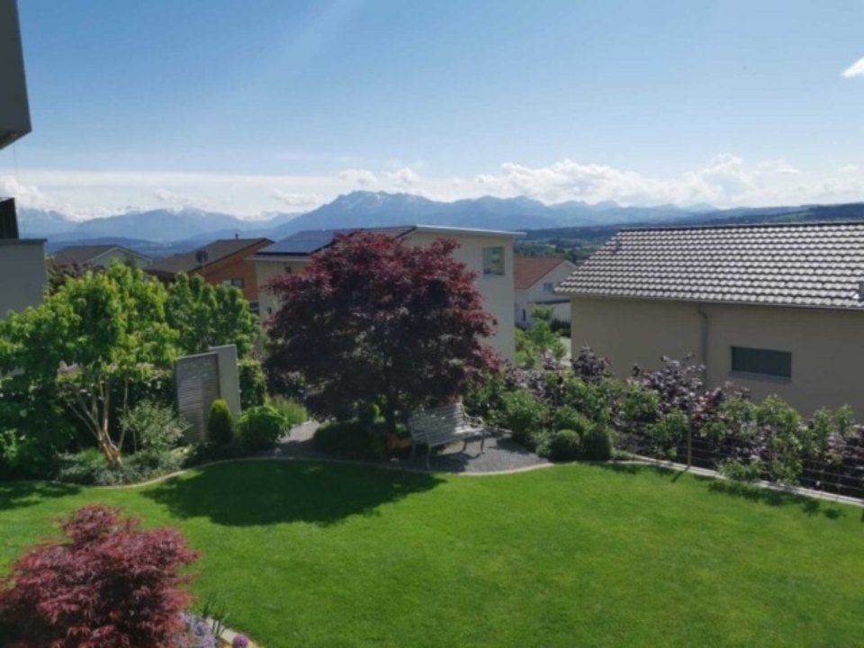 Üppiger grüner Rasen mit einem rotblättrigen Baum, Häusern und einer Bergkette unter blauem Himmel.