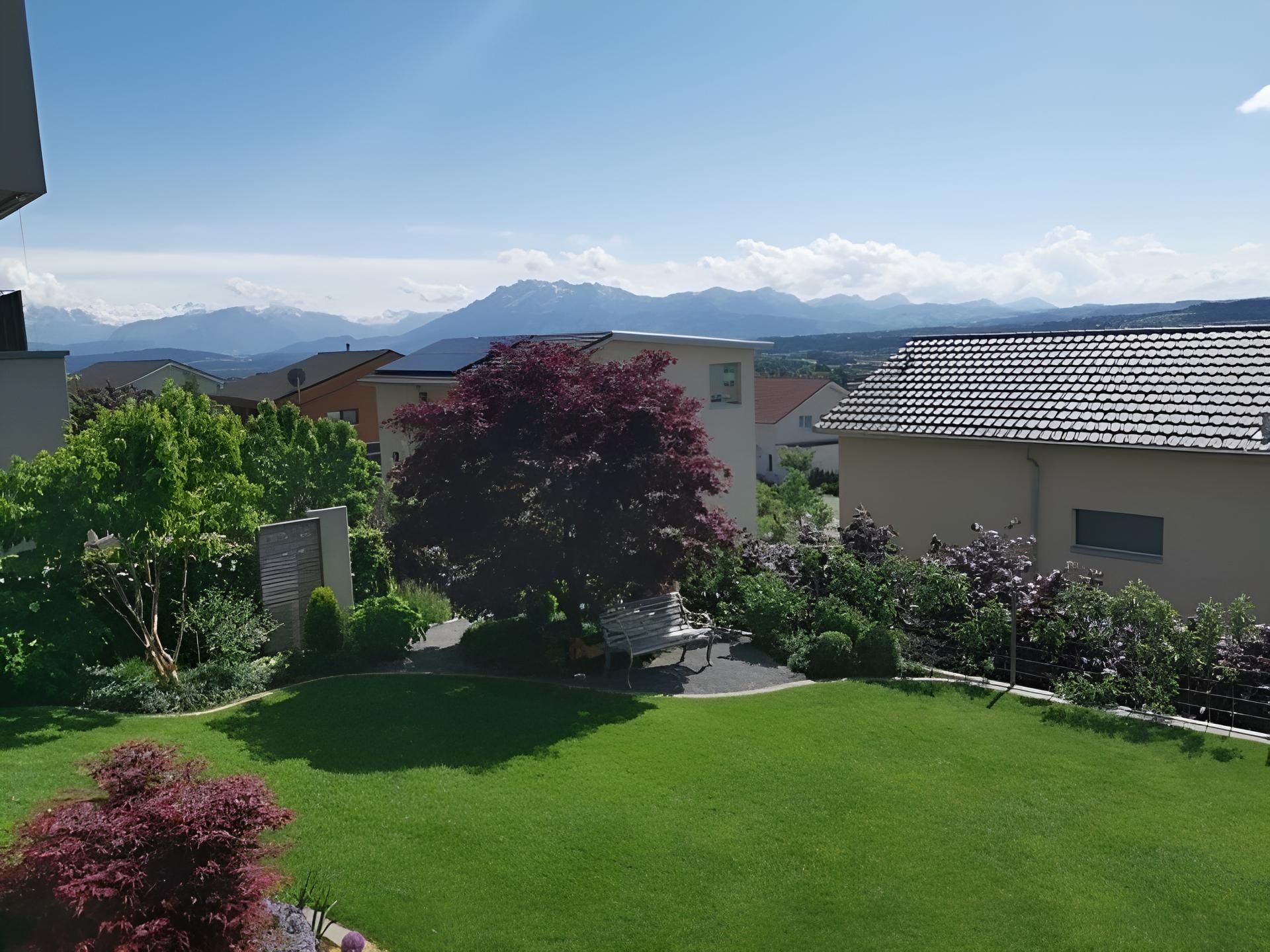 Üppiger grüner Rasen mit einem rotblättrigen Baum, Häusern und einer Bergkette unter blauem Himmel.