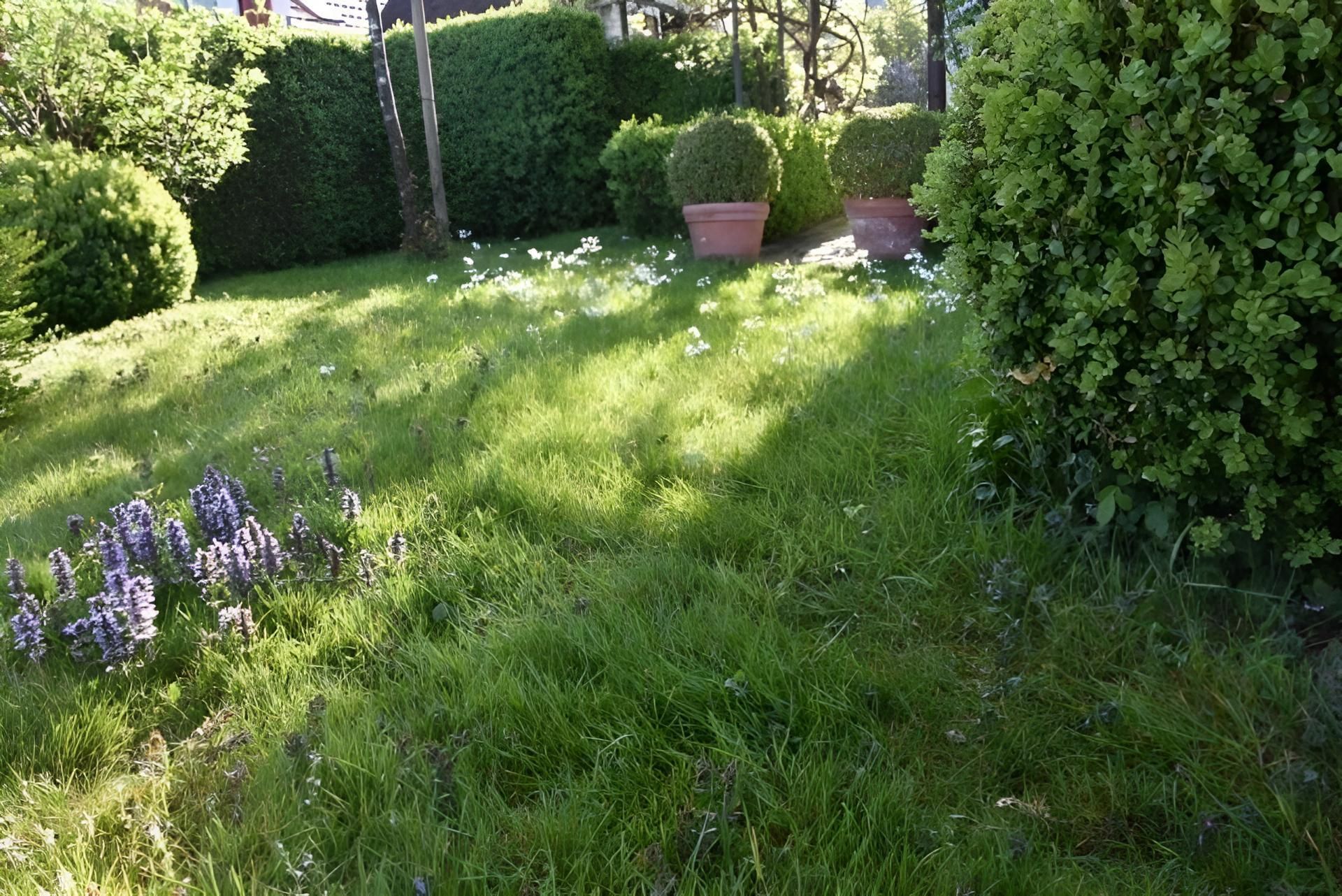 Üppig grüner Garten mit Gras, Sträuchern und Topfpflanzen, teilweise sonnig.