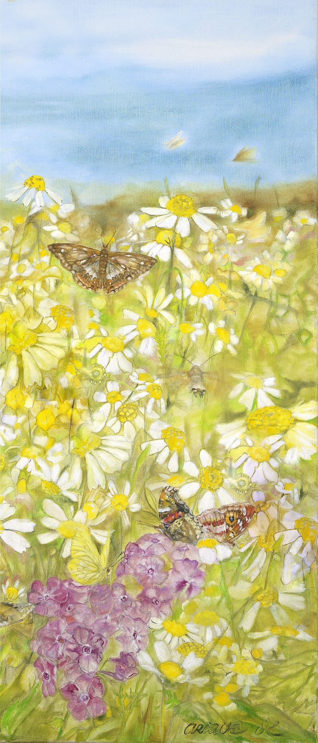 Kleiner Flügelschlag , Blumen, Reproduktionen Ariane Michaelis