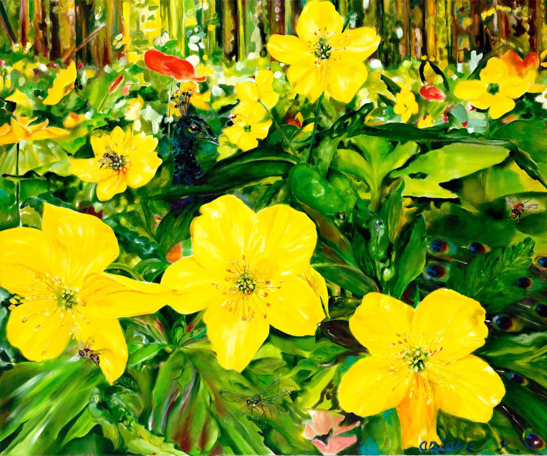 Pfauenwiese, Blumen, Reproduktionen Ariane Michaelis