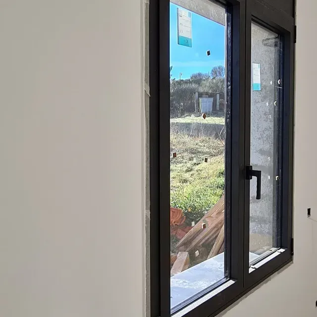 Ventana con marco negro en una pared interior blanca, con vistas a un patio con árboles y cielo.